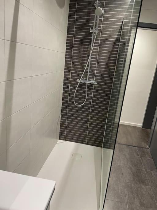 Appartement Cosy Strasbourg Schiltigheim Exterior foto